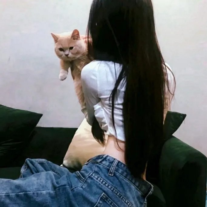爱情小说